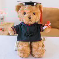 Premium Graduation Teddy Bear - 30 cm | The Perfect Gift for Children_img_5