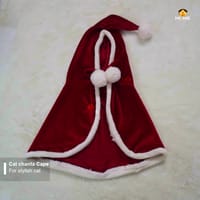 cat chenta cape_img_2