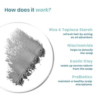 Wishcare Air Powder Dry Shampoo for Oily Hair & Scalp - 10g_img_3