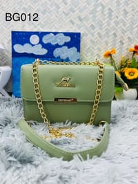 Ledies Crossbody Hand Bag BG12_img_1