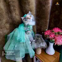 cat lehenga (4 kg)_img_0