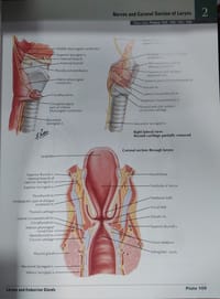 NETTER ATLAS of HUMAN ANATOMY classic regional approach - 8th edition_img_1