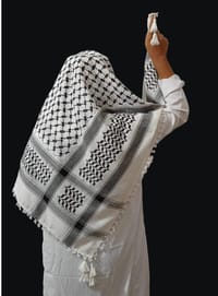 প্রিমিয়াম ফিলিস্তিন রুমাল_img_0