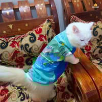 Cat t-shirt ( 8 kg)_img_1