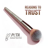 Swiss Beauty Powder Brush_img_0