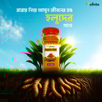 হলুদের গুঁড়া / Turmeric powder (১০০ গ্রাম )_img_1