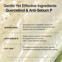 ANUA - HeartLeaf Quercetinol Pore Deep Cleansing Foam - 150ml_img_7