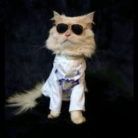 Cat panjabi(custom)_img_0