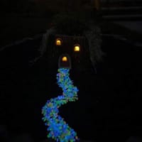 রেডিয়াম পাথর_img_7