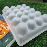 20 Grid Egg Box_img_2