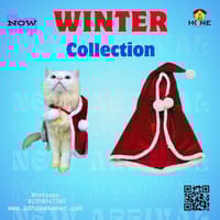 cat chenta cape_img_1