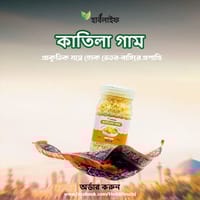 কাতিলা গাম  / Katira Gum (১০০ গ্রাম )_img_1
