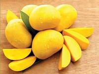 রাজশাহীর অর্গানিক ল্যাংড়া আম (Lengra Mango)_img_10