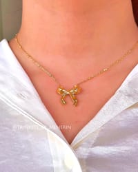 Stainless steel neckpiece_img_0