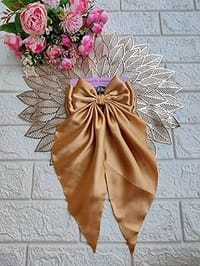 premium quality beautiful hair bow clip..._img_15