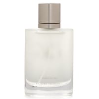 Empty atomizer 100ml frosted glass bottle Acqua de Gio design 1 pcs_img_0