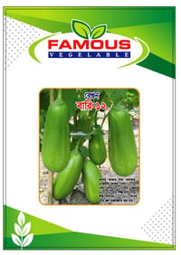 কেজি বেগুন / বারি বেগুন ১২ । Bari begun baro / kg begun_img_1