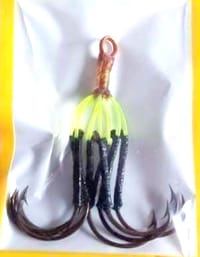 Indian ঝুপা  ৮ কাটা (২ ঝুপা) - Catu Kata_img_1