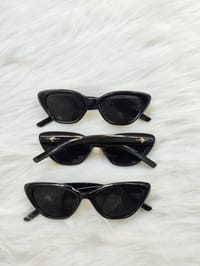 Trendy cat  Black sunglasses_img_4