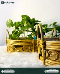 Cane Tray (T01)_img_5