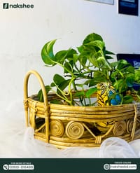 Cane Tray (T01)_img_6