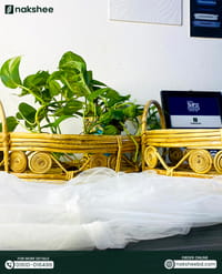 Cane Tray (T01)_img_7