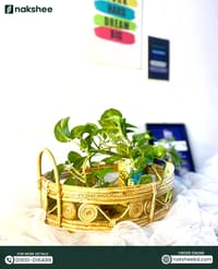 Cane Tray (T01)_img_8