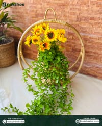 Ring Planter Combo || বেতের ফ্লাওয়ার বেজ, লিফ ঝার, আর সানফ্লাওয়ার স্টিক_img_2