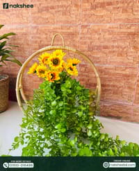 Ring Planter Combo || বেতের ফ্লাওয়ার বেজ, লিফ ঝার, আর সানফ্লাওয়ার স্টিক_img_3