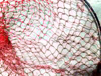 মাছ তোলার নেট - Fishing Net_img_2
