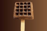 Nutella Waffle_img_0