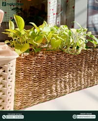 Sea grass Organiser_img_4