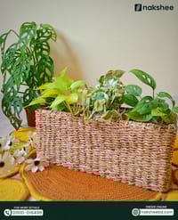 Sea grass Organiser_img_10