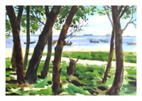 Tranquil Shores of Parky Sea beach_img_0