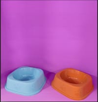 1pc Random Color Paw Prints Cat Bowl, Cat Food Plate, Cat Water Dish, Anti-Tipping Design, Pet Feeding Bowl_img_2