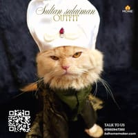 Sultan sulaimon outfit_img_5