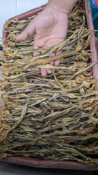 লইট্টা শুঁটকি – পেটকাটা মাঝারি সাইজ_img_1