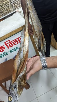 বড় জাতি শুটকি_img_1