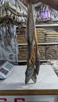 বড় জাতি শুটকি_img_2