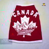 cat t-shirt (4,6,5,2.5 kg)_img_0