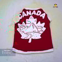 select weight ( 2.5,2kg)_img_0