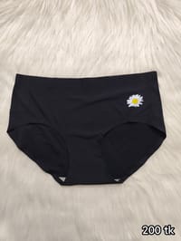 Seamless Panty_img_0