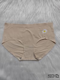 Seamless Panty_img_3