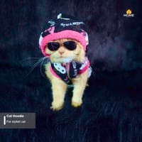 cat hoodie (2.3 kg)_img_1