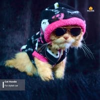 cat hoodie (2.3 kg)_img_2