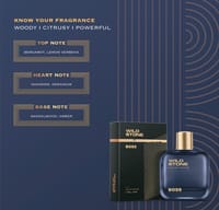 Wild Stone Boss Perfume for Men  Eau De Parfum 100ml Luxury Long-Lasting Fragrance Premium Perfume for men Infused with Woody & Citrusy Notes_img_3