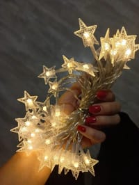 Star Fairy Lights 😍✨_img_0