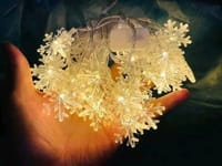 Snow Fairy Lights 😍✨_img_1