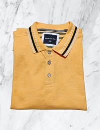 Polo Shirt_img_1