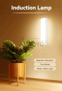Auoyo LED Body Motion Sensor Induction Long Strip Night Lamp..._img_5